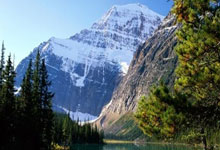 开云体育APP下载-威廉姆斯逆转梅赛德斯，佩雷兹刷新纪录的简单介绍