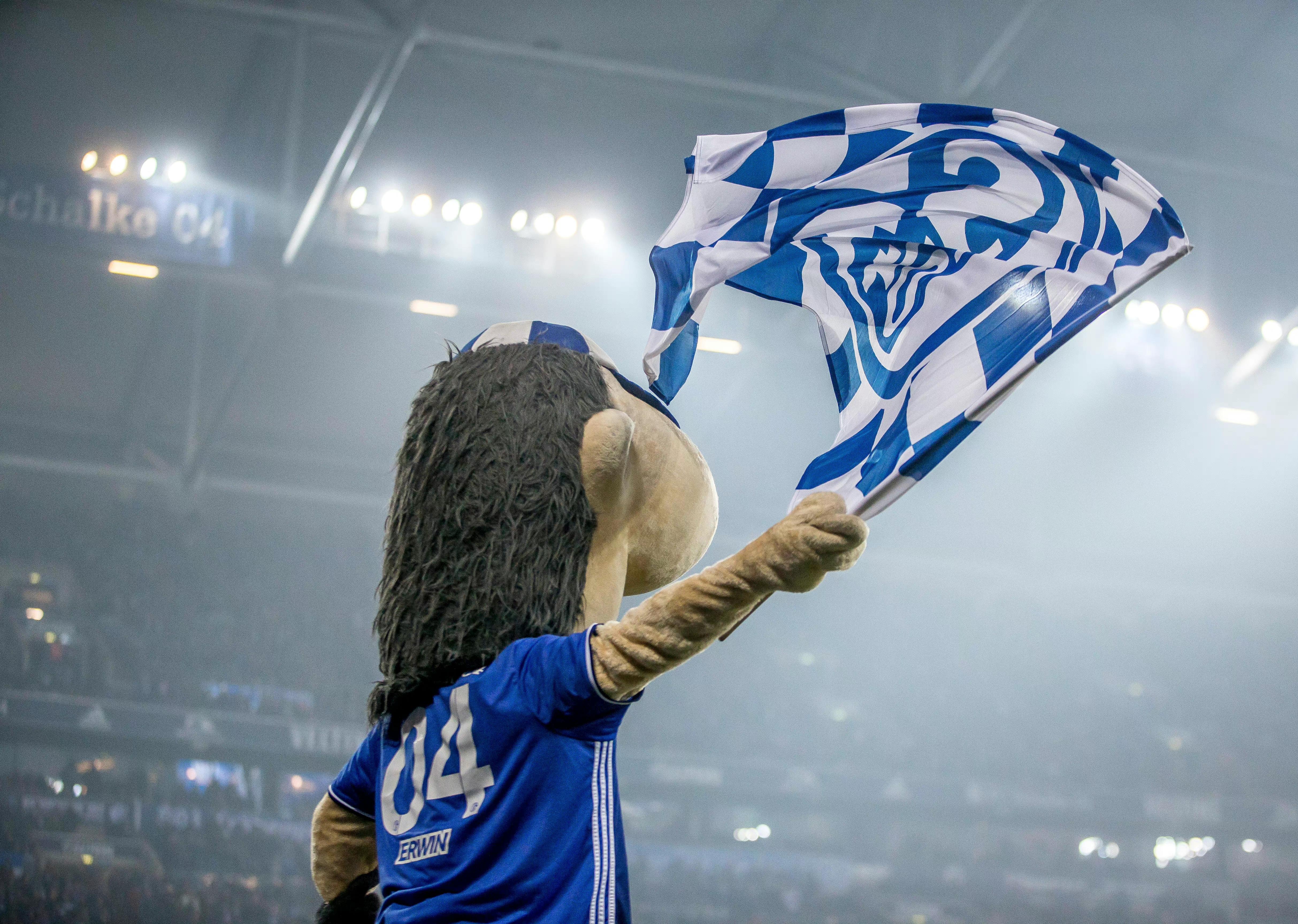 关于沙尔克击败对手,球队连胜势头不减的信息 关于沙尔克击败对手,球队连胜势头不减的信息