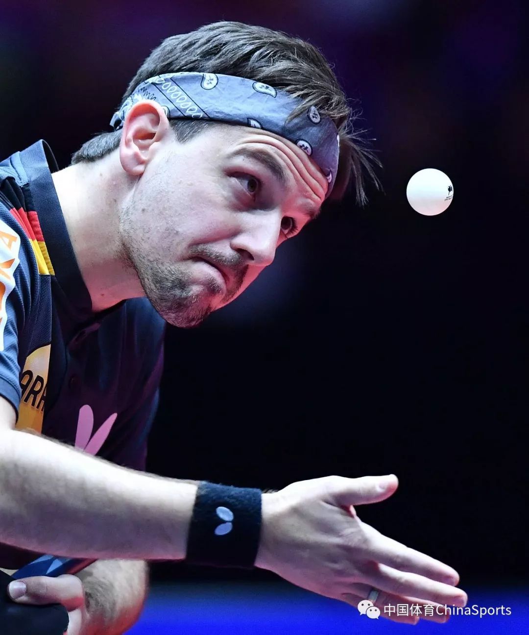 包含法国乒乓球队轻取波兰乒乓球队,波尔统治全场的词条 包含法国乒乓球队轻取波兰乒乓球队,波尔统治全场的词条