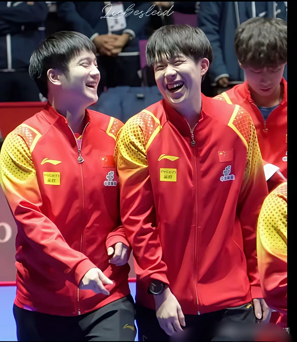 英格兰队绝杀葡萄牙队，樊振东刷新纪录