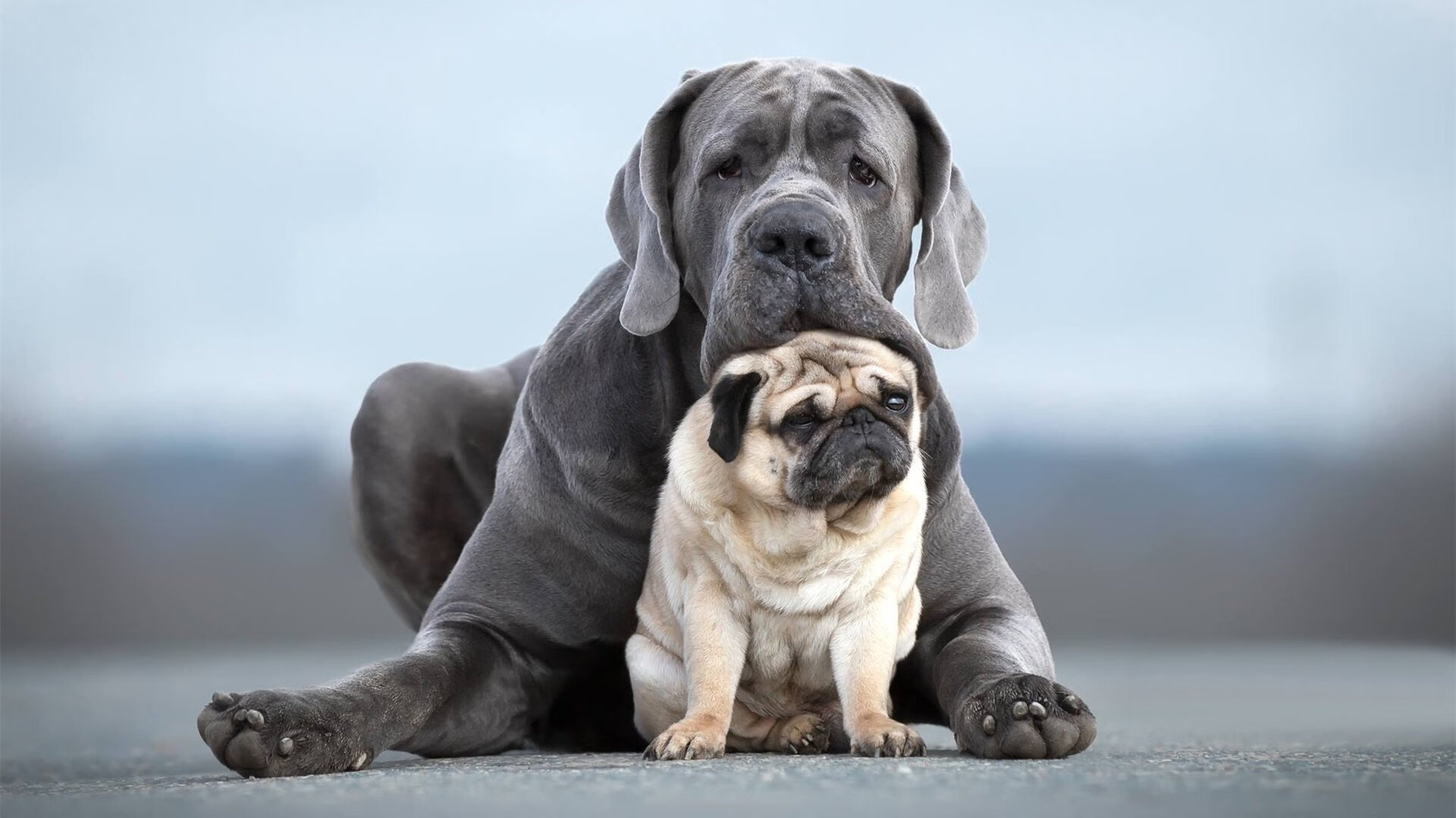 苏亚雷斯梅开二度引爆全场，哥伦比亚惊险逆转南非锁定胜局