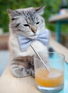 亚洲足球新篇章，伊拉克对阵中国，阿坎吉在焦点战中证明自己的价值